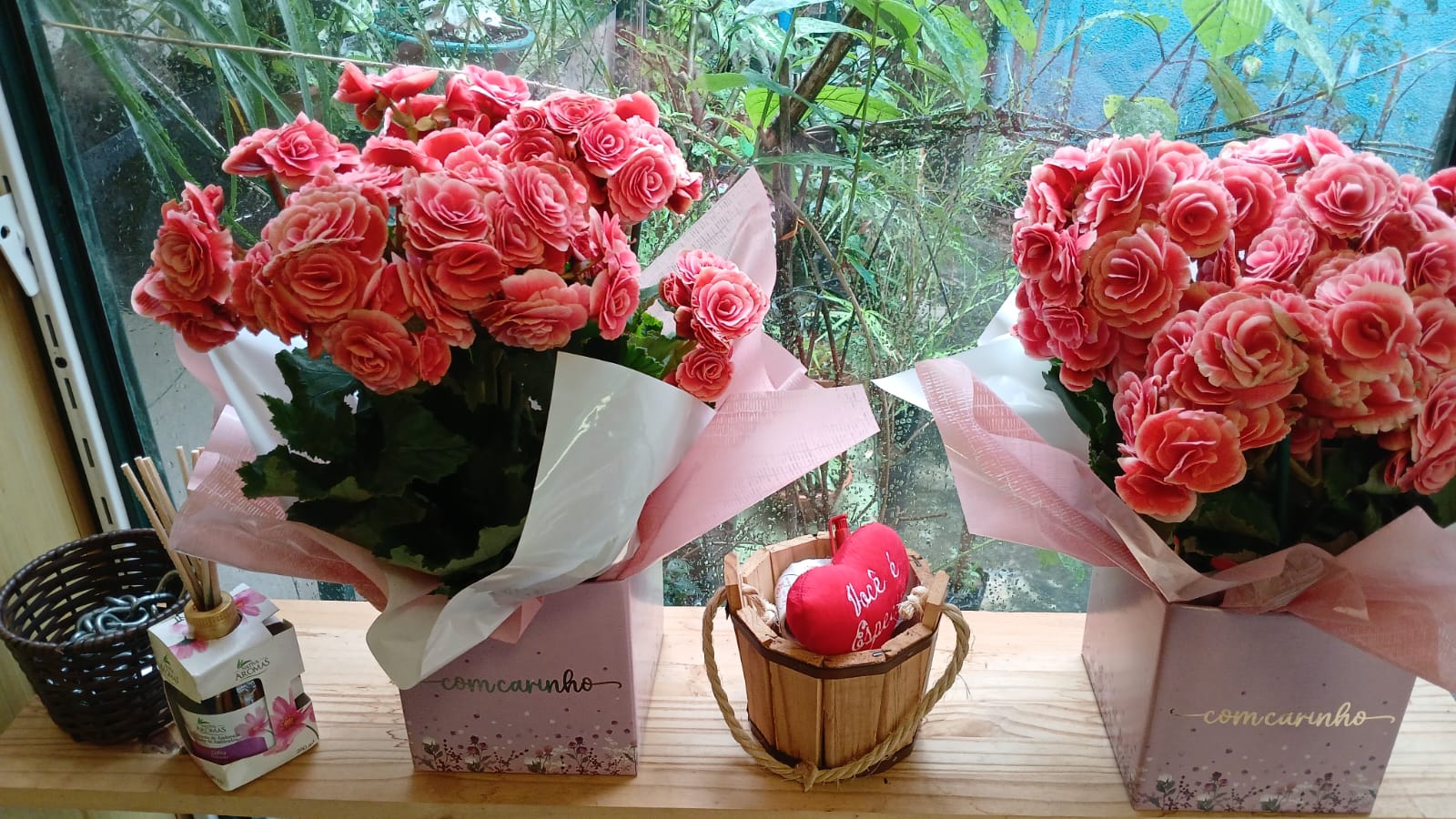 Begônias Rosa com Carinho
