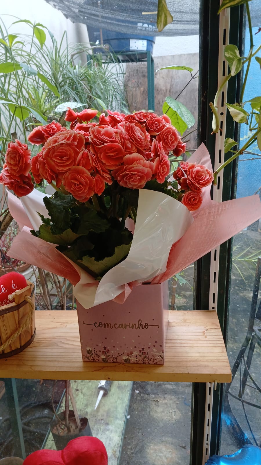 Rosas com Carinho